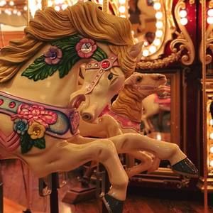 Meet your Posher, Victoria